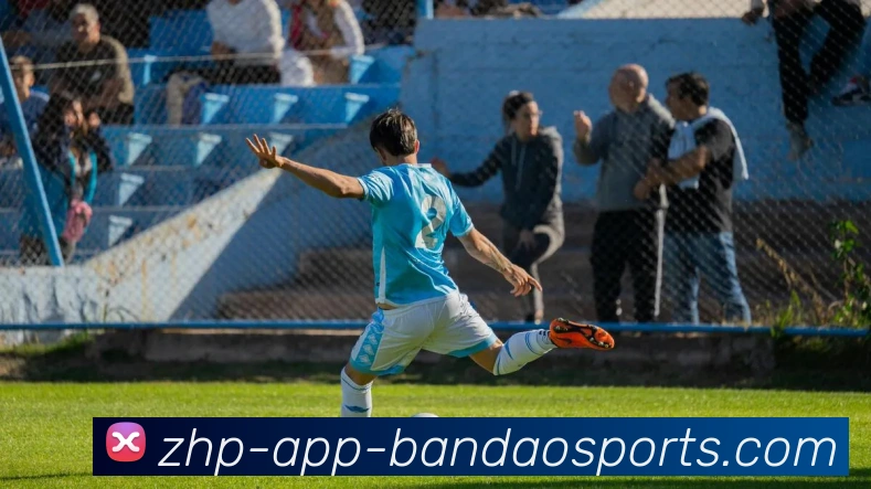 半岛体育APP 封面图